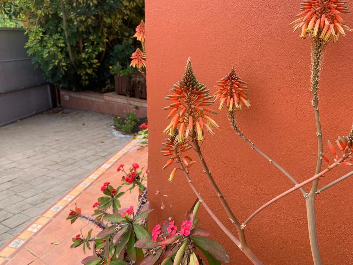 La Casita de Descanso - Das Haus der Ruhe - La Luz La Orotava Exterior foto
